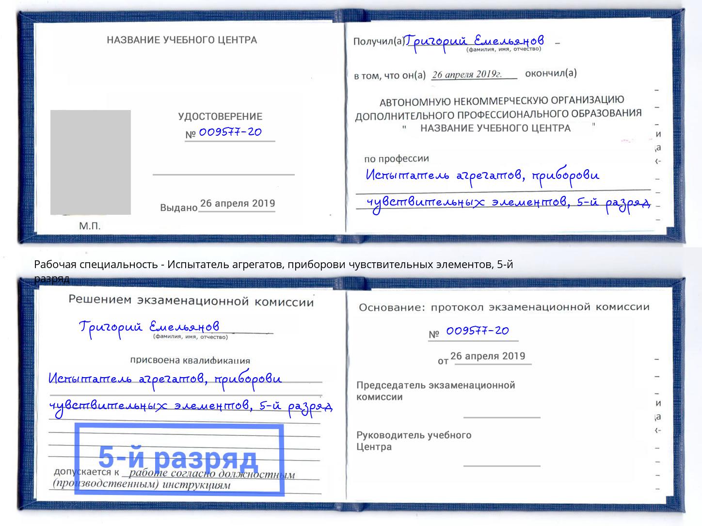 корочка 5-й разряд Испытатель агрегатов, приборови чувствительных элементов Ирбит