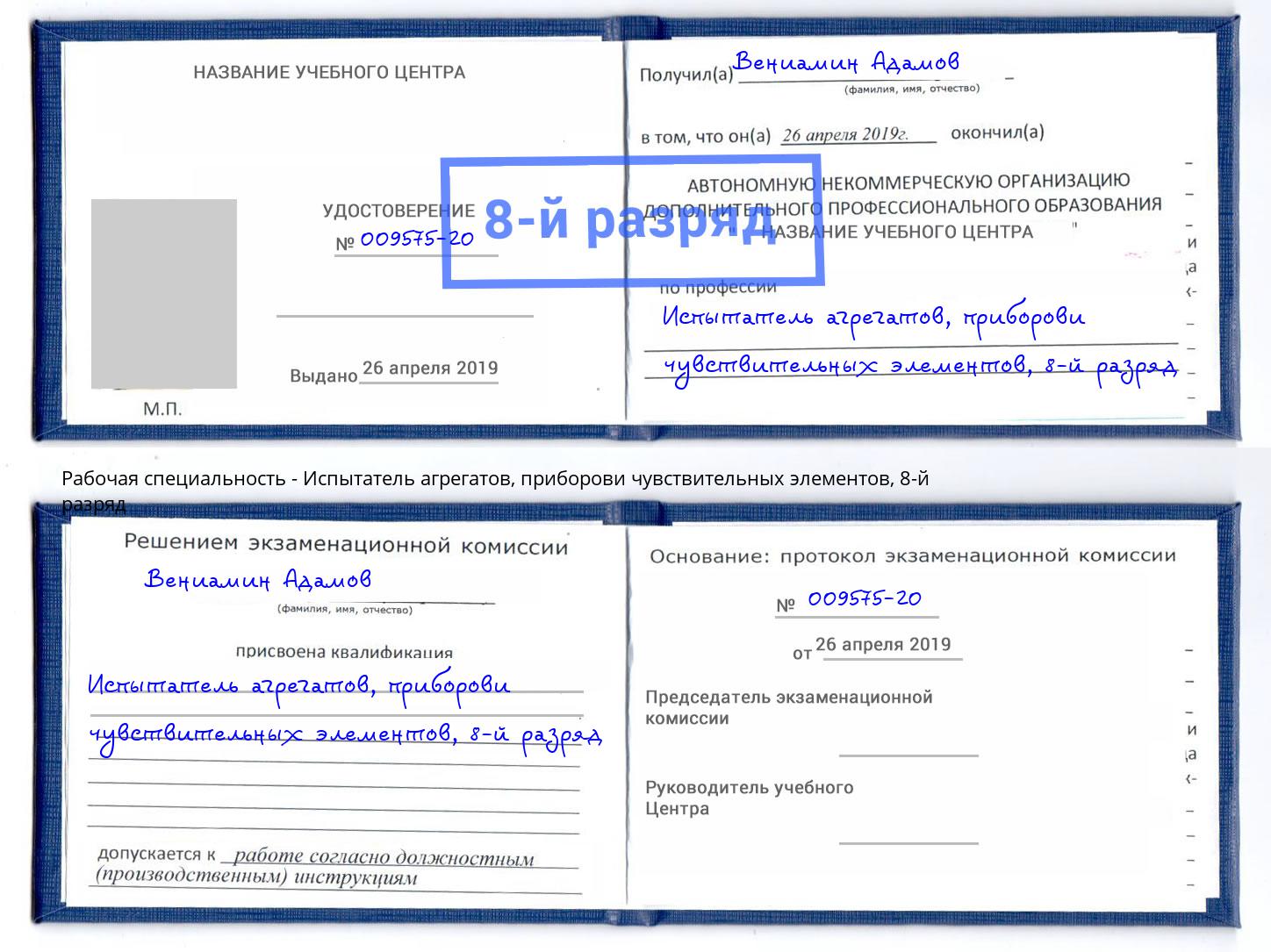 корочка 8-й разряд Испытатель агрегатов, приборови чувствительных элементов Ирбит